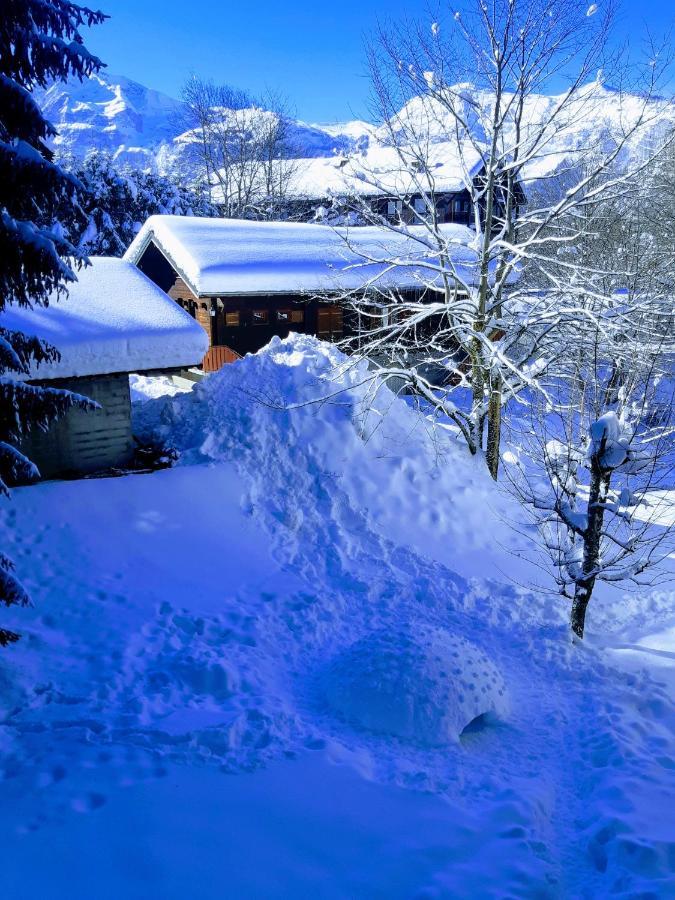 Appartement En Station De Ski A 700 M Des Telecabines Et 100 M Du Centre-Village Les Carroz d'Araches Exterior photo
