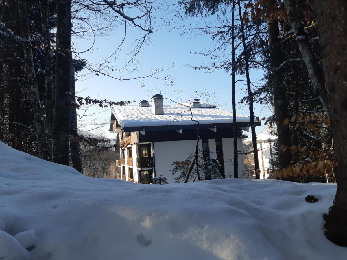 Appartement En Station De Ski A 700 M Des Telecabines Et 100 M Du Centre-Village Les Carroz d'Araches Exterior photo